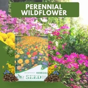 Wildflower Packets Modern Design for Outdoor Planting 5 pieces